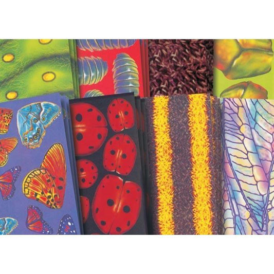 Bug Craft Paper (48 Sheets) - EconoCrafts