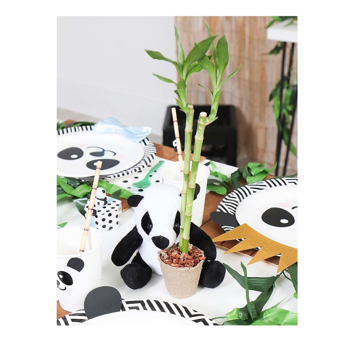 DIY Watch It Grow Seed Pots (24 Pack)