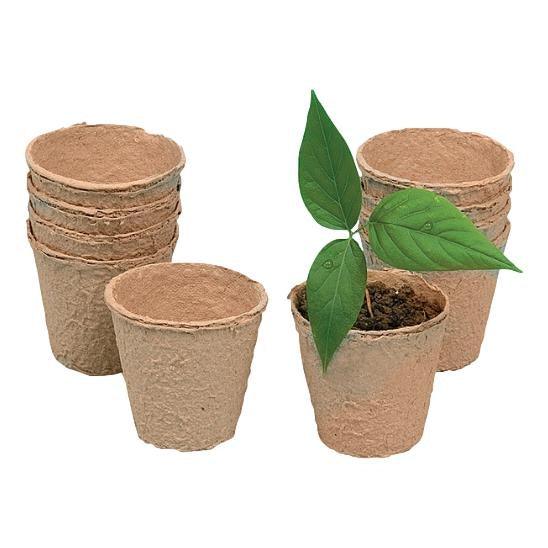 DIY Watch It Grow Seed Pots (12 Pack) - EconoCrafts