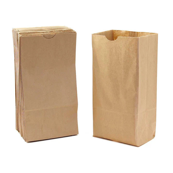 Brown Paper Bags #5 (100 Pack)