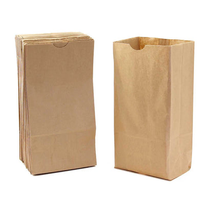 Brown Paper Bags #5 (100 Pack)