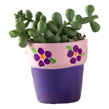 Mini Terra Cotta Pots (12 Pack)