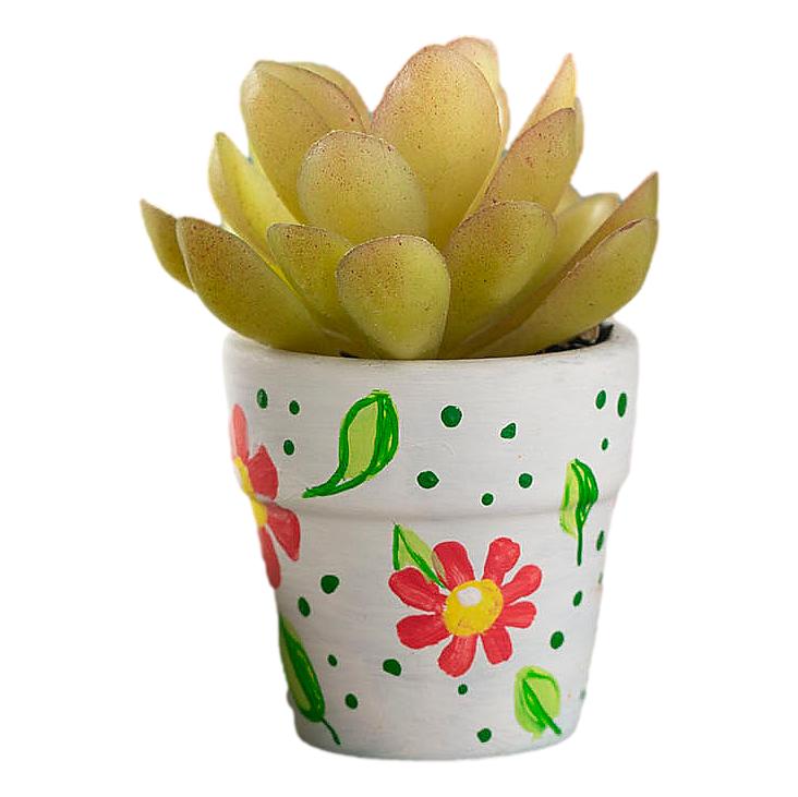 Mini Terra Cotta Pots (12 Pack)