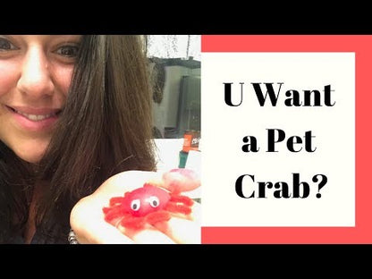 Glitter Pipe Cleaners - Gold (100 Pack)