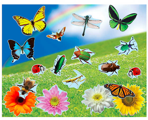 Realistic Bugs & Flowers Sticker Scene