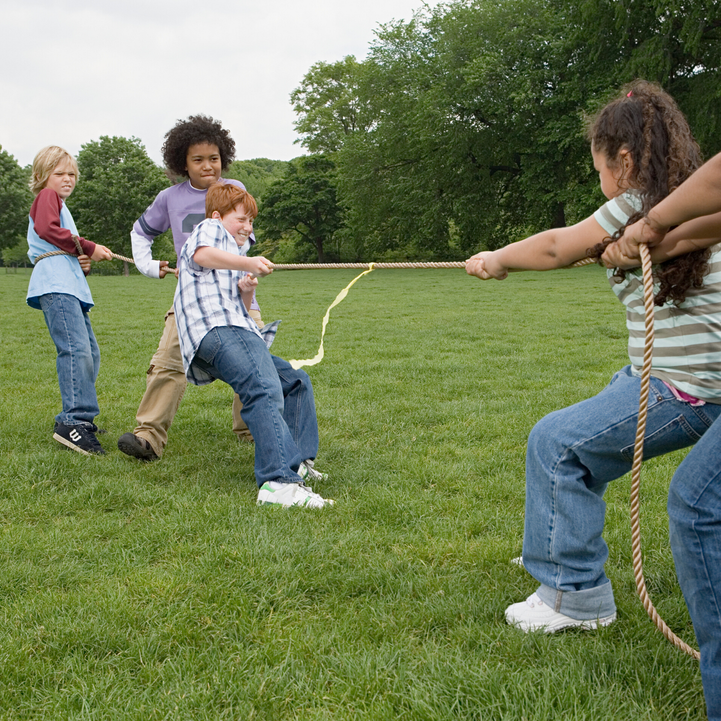 Tug of War Rope