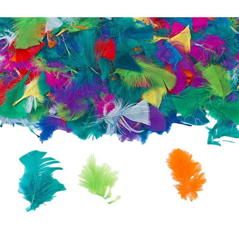 Turkey Feathers - Rainbow (Approx. 130 Pack) - EconoCrafts