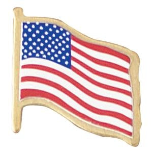 USA Flag Pins