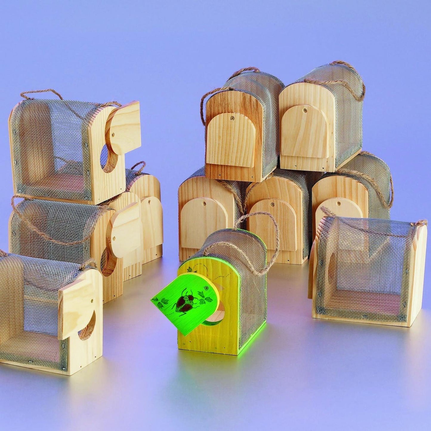 Wooden Bug Boxes (12 Pack) - EconoCrafts